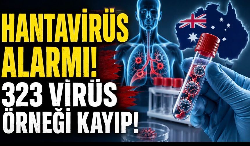 Hantavirüs Alarmı: Avustralya’da 323 Virüs Örneği Kayıtlarda Bulunamadı