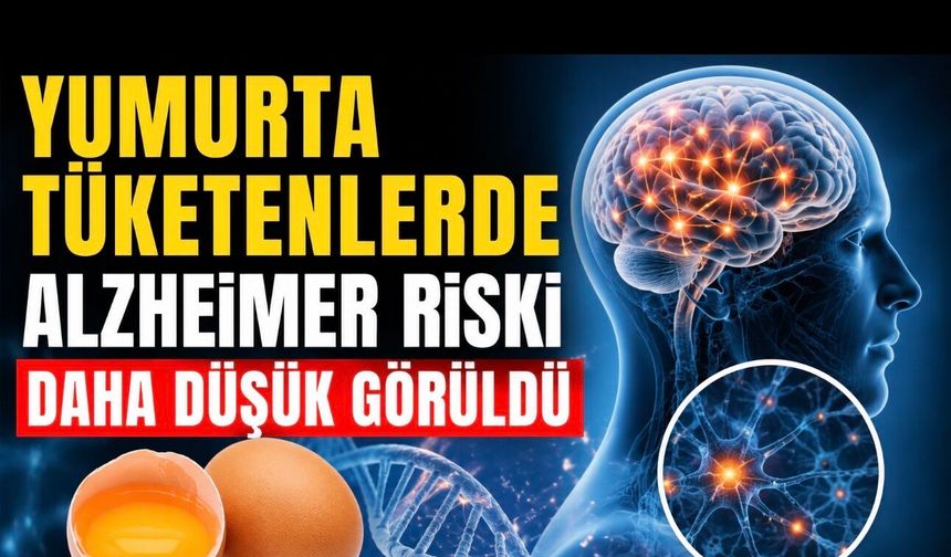 Yeni Araştırma: Yumurta Tüketenlerde Alzheimer Riski Daha Düşük Görüldü