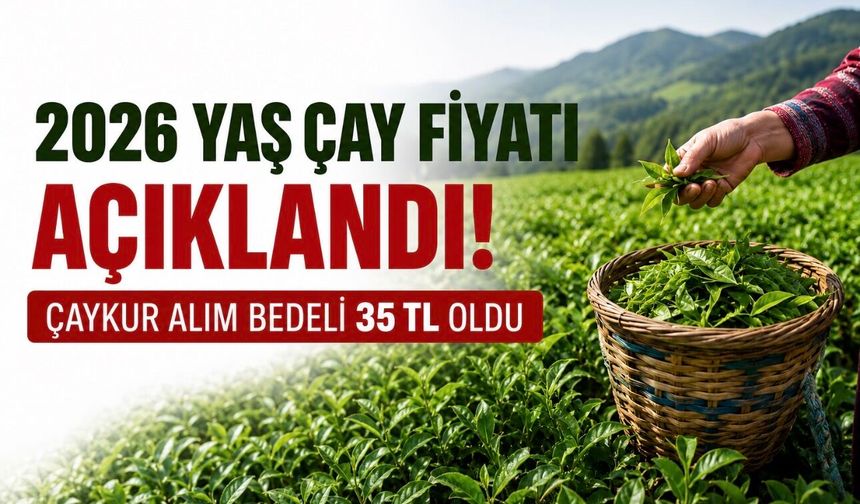 2026 Yaş Çay Fiyatı Açıklandı: Destekleme Bedeli 35 TL Oldu