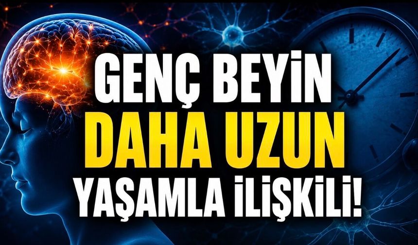 Beynin Biyolojik Yaşı Ölüm Riskini Ele Verebilir