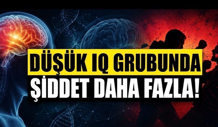 Araştırma: Düşük IQ Grubunda Şiddet Daha Fazla