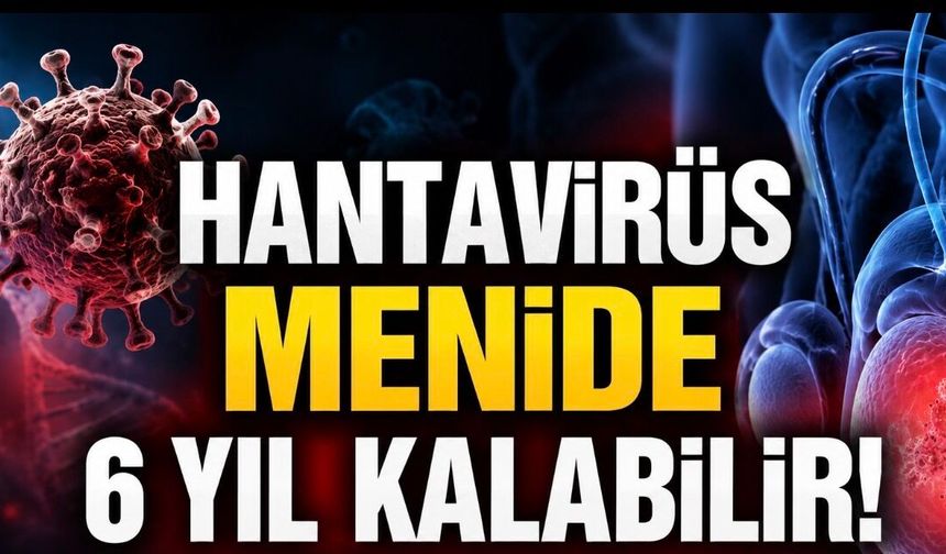 Hantavirüs İçin Yeni Uyarı: Virüs Menide Yıllarca Kalabilir