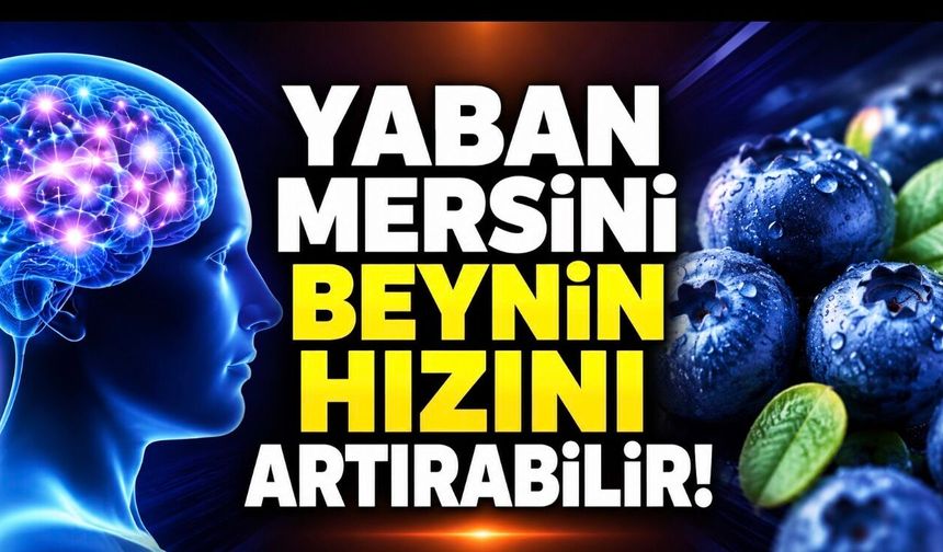 Beynin İşlem Hızını Destekleyen Meyve: Yaban Mersini