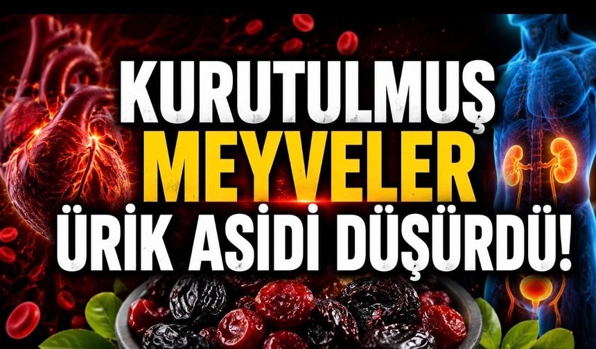Kurutulmuş Meyveler Kalp Hastalarında Ürik Asidi Düşürdü