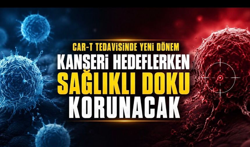 CAR-T tedavisinde güvenlik arayışı: Kanser hücrelerini hedeflerken sağlıklı doku nasıl korunacak?