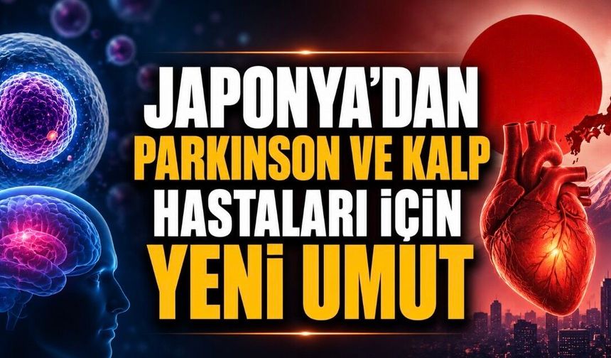 Kalp ve Parkinson Tedavisinde Hücre Umudu
