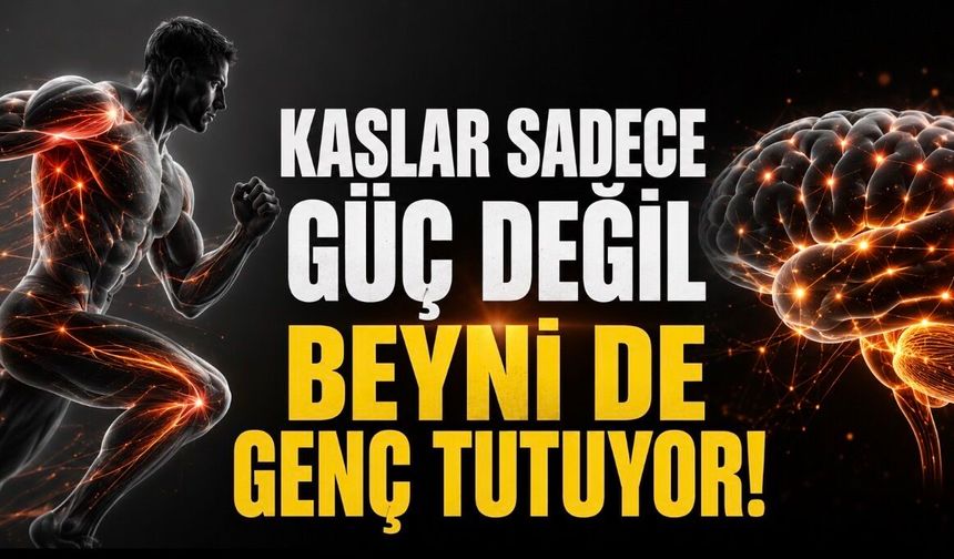 Kaslar Sadece Güç Değil, Beyin Sağlığı da Sağlıyor: Egzersizin Gizli Etkisi Ortaya Kondu