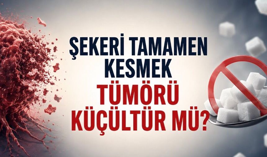 Şekeri Tamamen Kesmek Tümörü Küçültür mü?