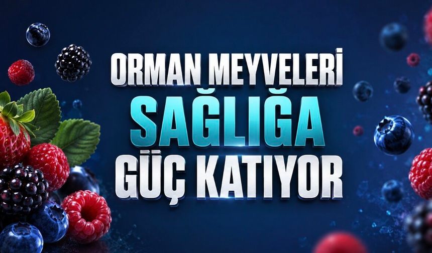 Meyvelerin Küçük Devleri: Böğürtlen, Çilek ve Yaban Mersini Vücuda Ne Sağlıyor?