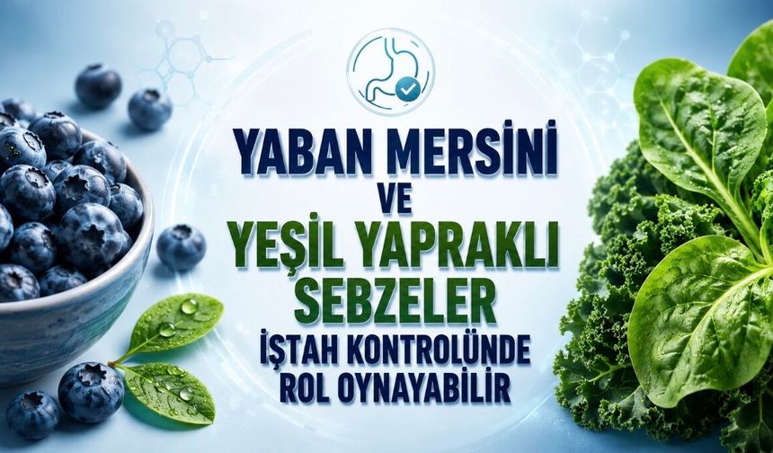 Antioksidan Besinler İştah Kontrolünde Rol Oynayabilir