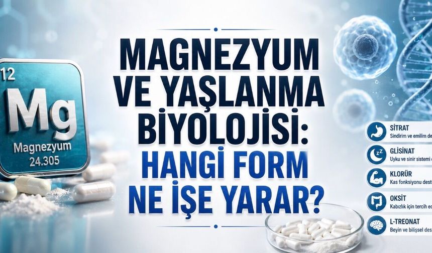 Magnezyum Eksikliği Yaşlanmayı Hızlandırabilir: Hangi Form Ne İşe Yarıyor?