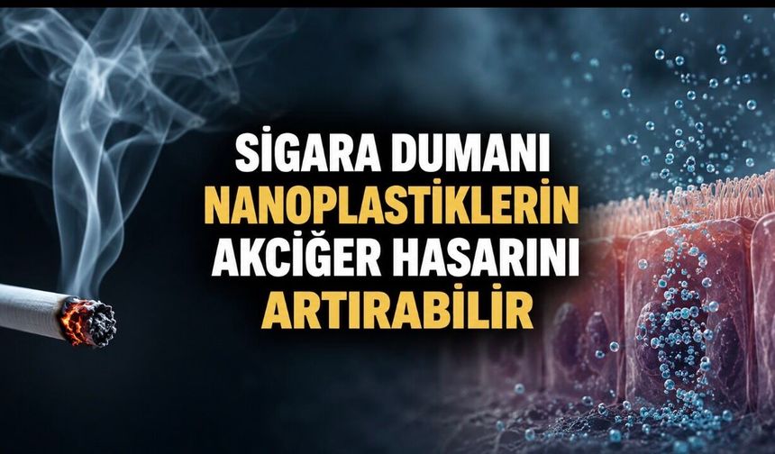Sigara dumanı nanoplastiklerin akciğere zararını artırabilir