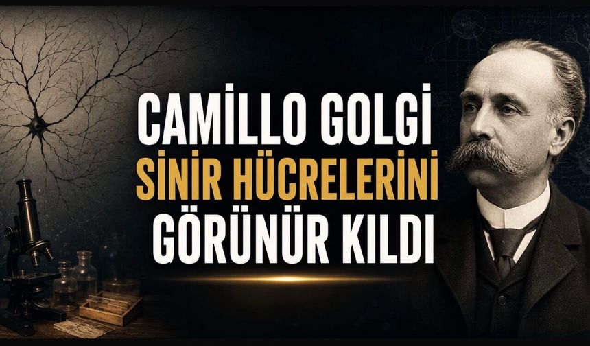 Sinir Hücrelerini Karanlıktan Çıkaran Bilim İnsanı: Camillo Golgi