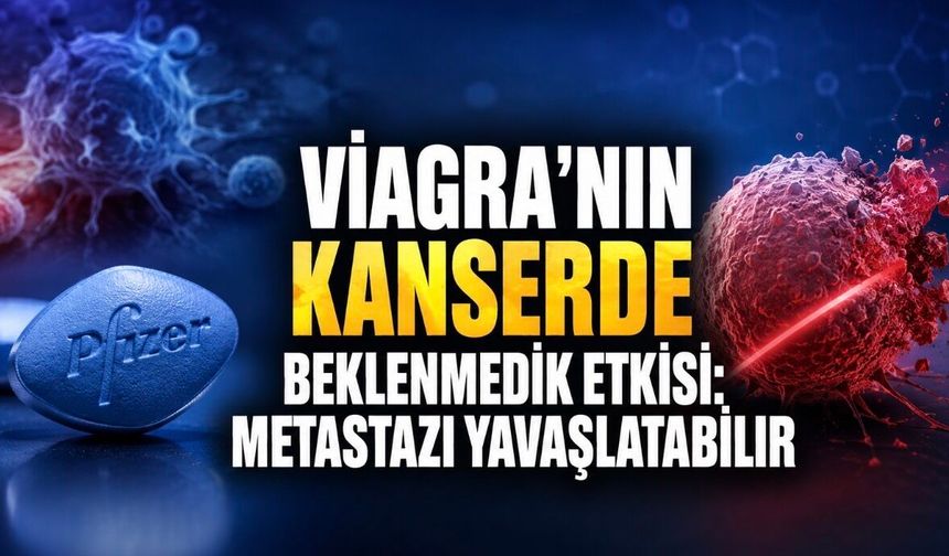 Viagra’nın Etken Maddesi Kanser Hücrelerine Karşı Yeni Bir Silah Olabilir