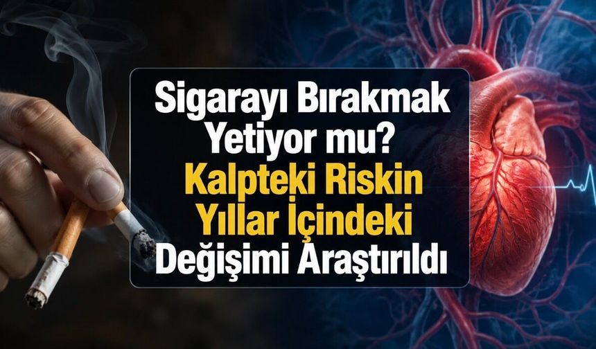 Sigarayı Bırakınca Kalp Ne Zaman Toparlanıyor? 29 Yıllık Araştırmadan Dikkat Çeken Sonuç
