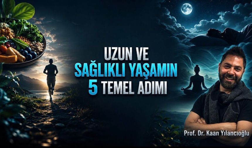 Harvard Açıkladı: Uzun ve Sağlıklı Yaşamın 5 Temel Dayanağı