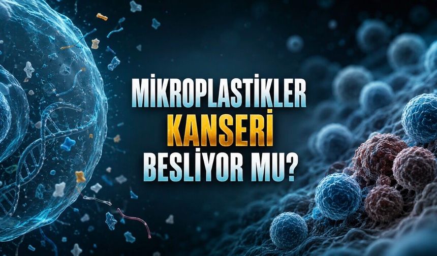 Yediğimiz, içtiğimiz ve soluduğumuz mikroplastikler kanser riskini artırıyor mu?