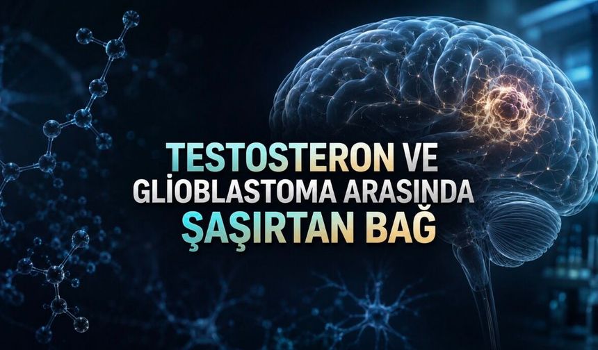 Testosteron Beyin Tümörü Tedavisi mi Olacak? Araştırmanın Söylediği ve Söylemediği