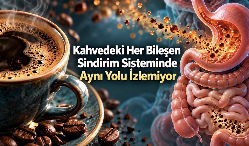 Bağırsak sağlığı için hangi kahve daha iyi? Araştırmaların gösterdiği sınır