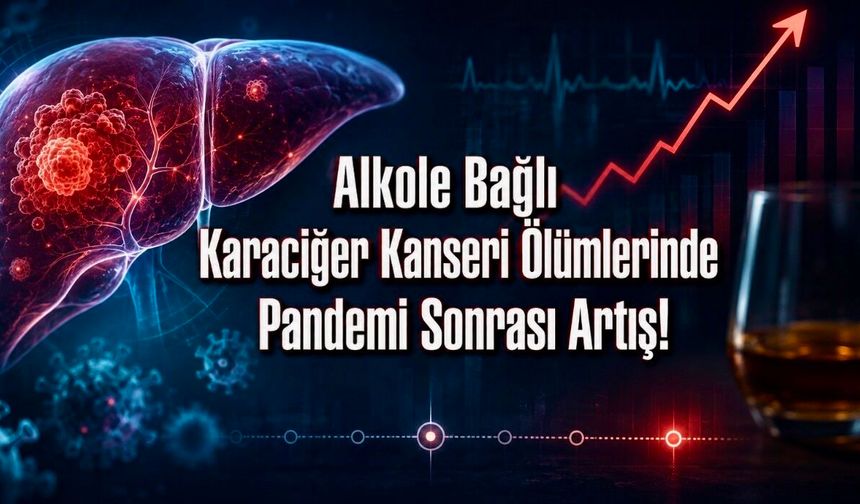 Alkole Bağlı Karaciğer Kanseri Ölümlerinde Pandemi Kırılması