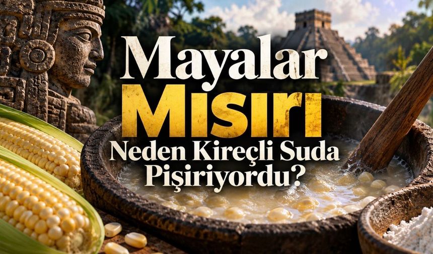 Mayalar Mısırı Neden Kireçli Suda Pişiriyordu? Nixtamalizasyonun Hikâyesi