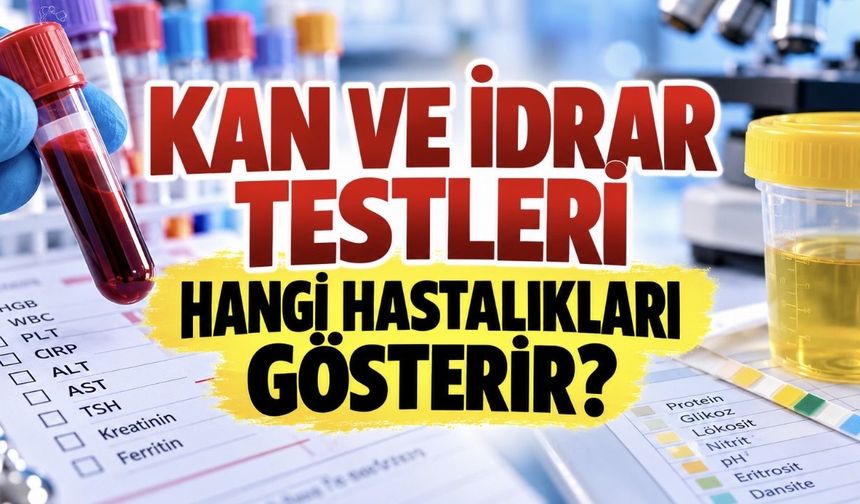 Hangi Tahlil Neyi Gösterir? Kan, İdrar ve Hormon Testleri Tablosu