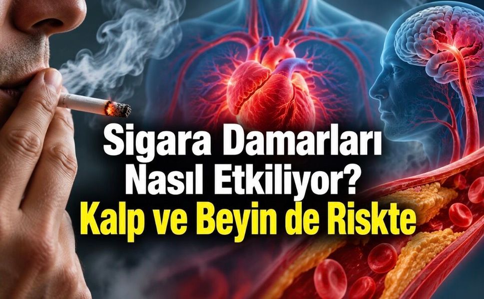 Sigara Kalp Krizi ve Felç Riskini Nasıl Artırıyor? Az İçmek de Güvenli Değil