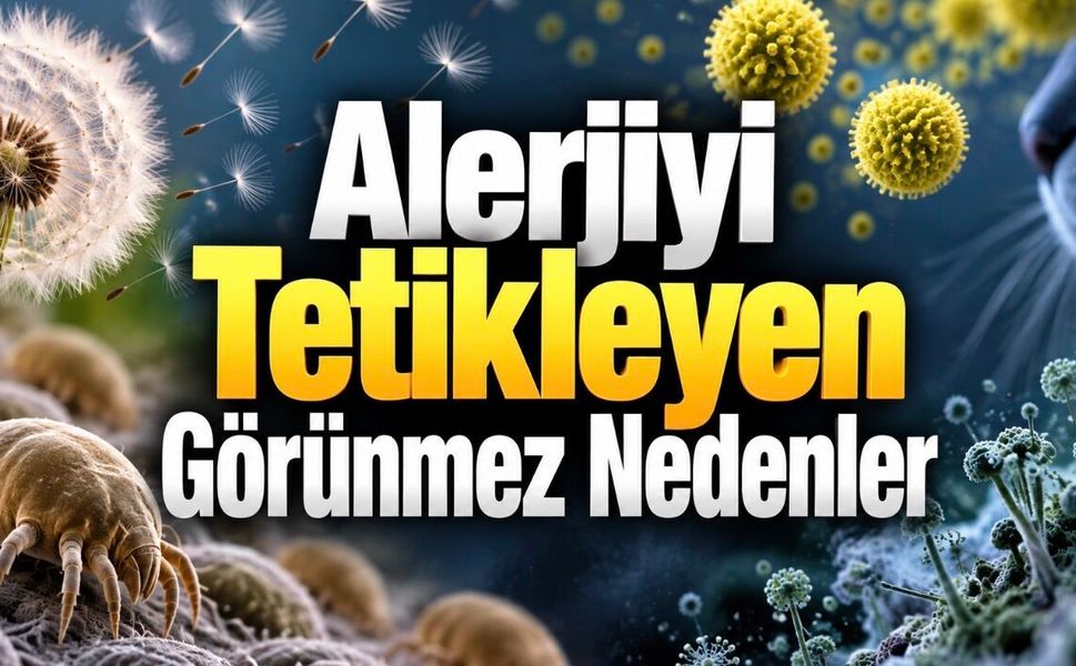 Alerjiyi Ne Tetikler? Evde ve Dışarıda Karşılaştığımız 10 Yaygın Neden