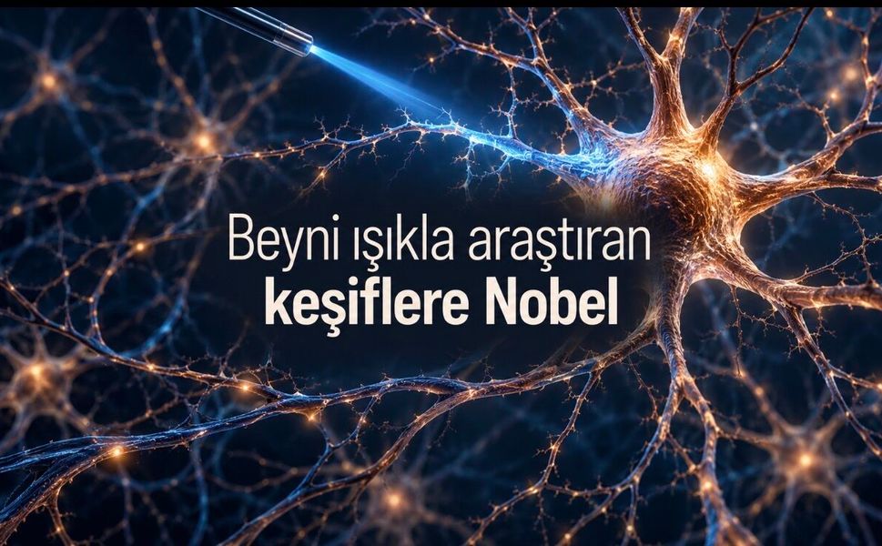 2026 Nobel Tıp Ödülü Deisseroth, Hegemann ve Nagel’e verildi