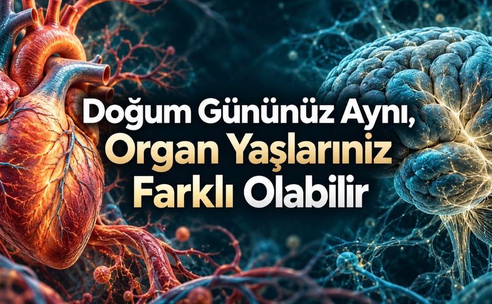 Organlar aynı hızda mı yaşlanır? Biyolojik yaş araştırmaları ne gösteriyor?