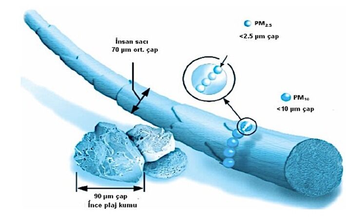 I M G 20260222 W A0018