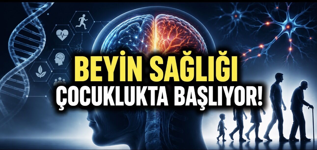 Beyin Sağlığı Sadece Genetik Değil: Yaşam Tarzı da Belirleyici