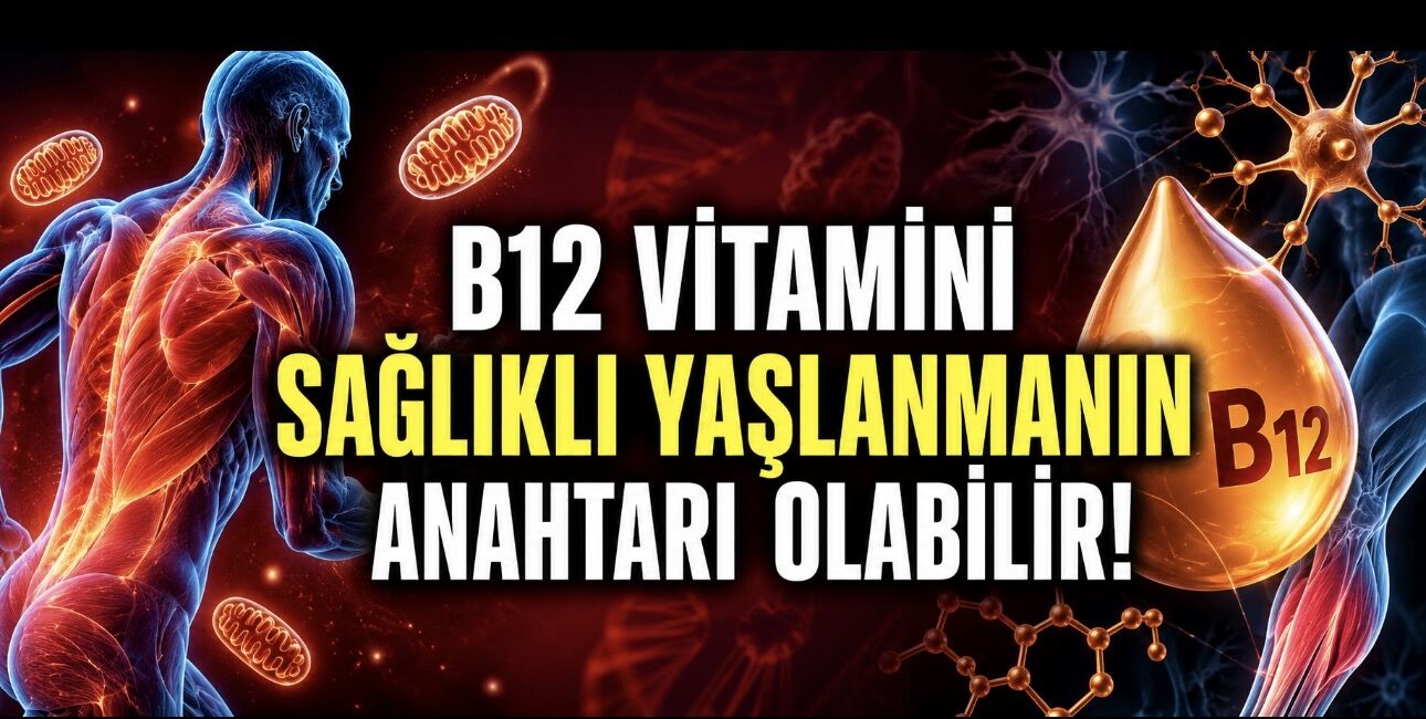B12 Vitamini Sağlıklı Yaşlanmanın Gizli Anahtarı Olabilir