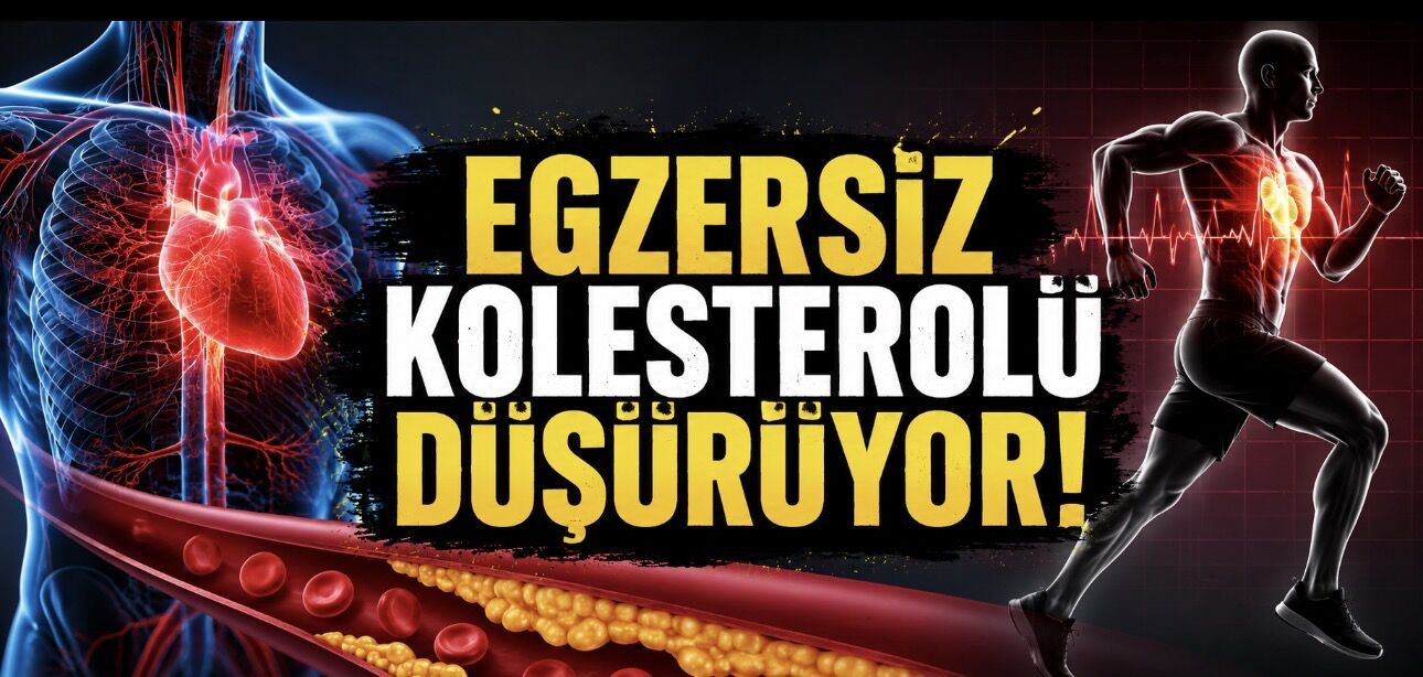 Egzersiz Kolesterolü Düşürür mü? Uzmanlardan Kalp Sağlığı İçin Kritik Uyarı