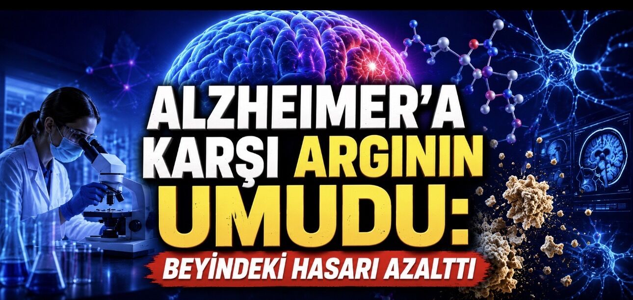 Alzheimer’a Karşı Umut Veren Keşif: Ucuz Bir Amino Asit Beyindeki Hasarı Azalttı