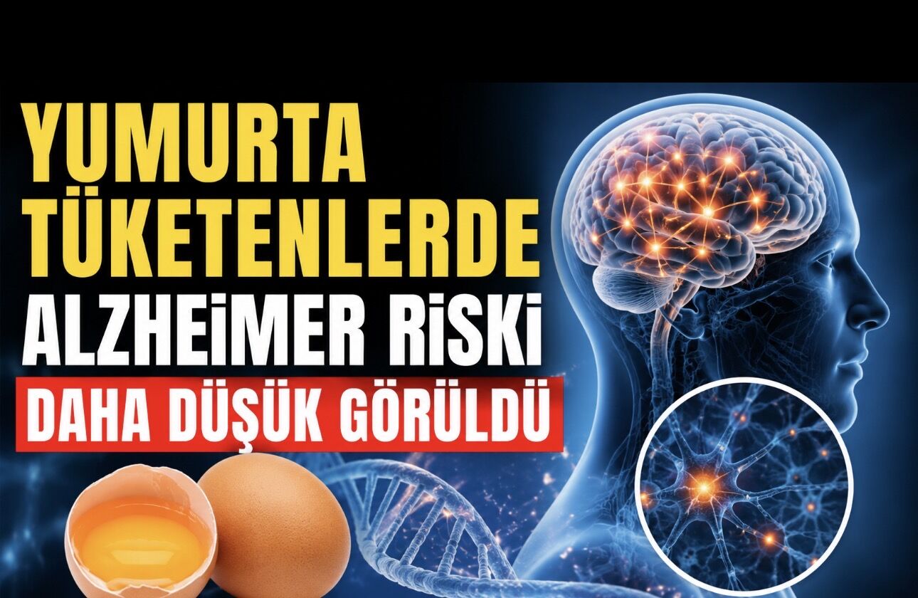 Yeni Araştırma: Yumurta Tüketenlerde Alzheimer Riski Daha Düşük Görüldü