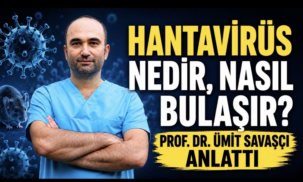 Hantavirüs nedir, nasıl bulaşır, tedavisi var mı?
