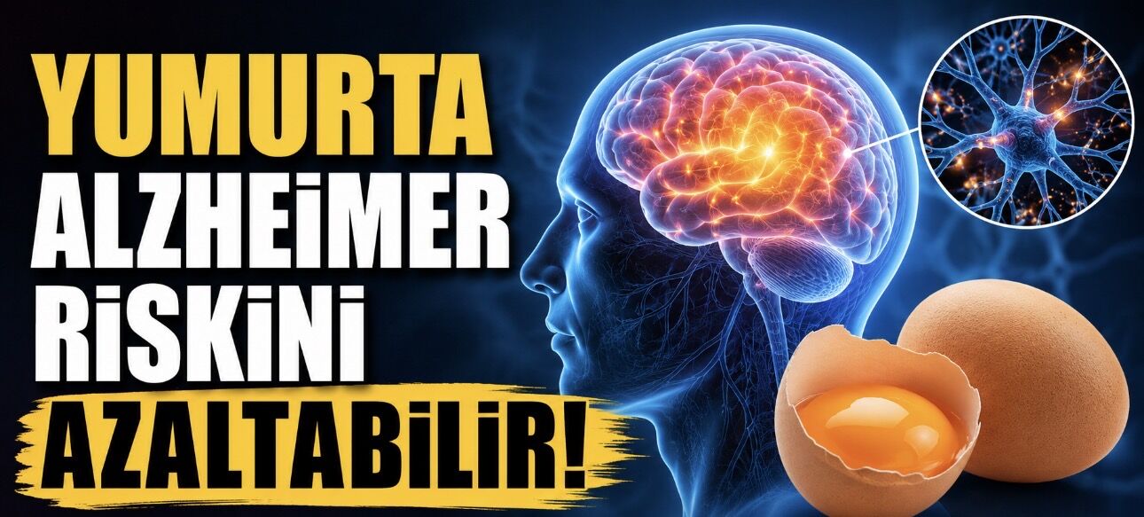Yeni Araştırma: Yumurta Tüketenlerde Alzheimer Riski Daha Düşük