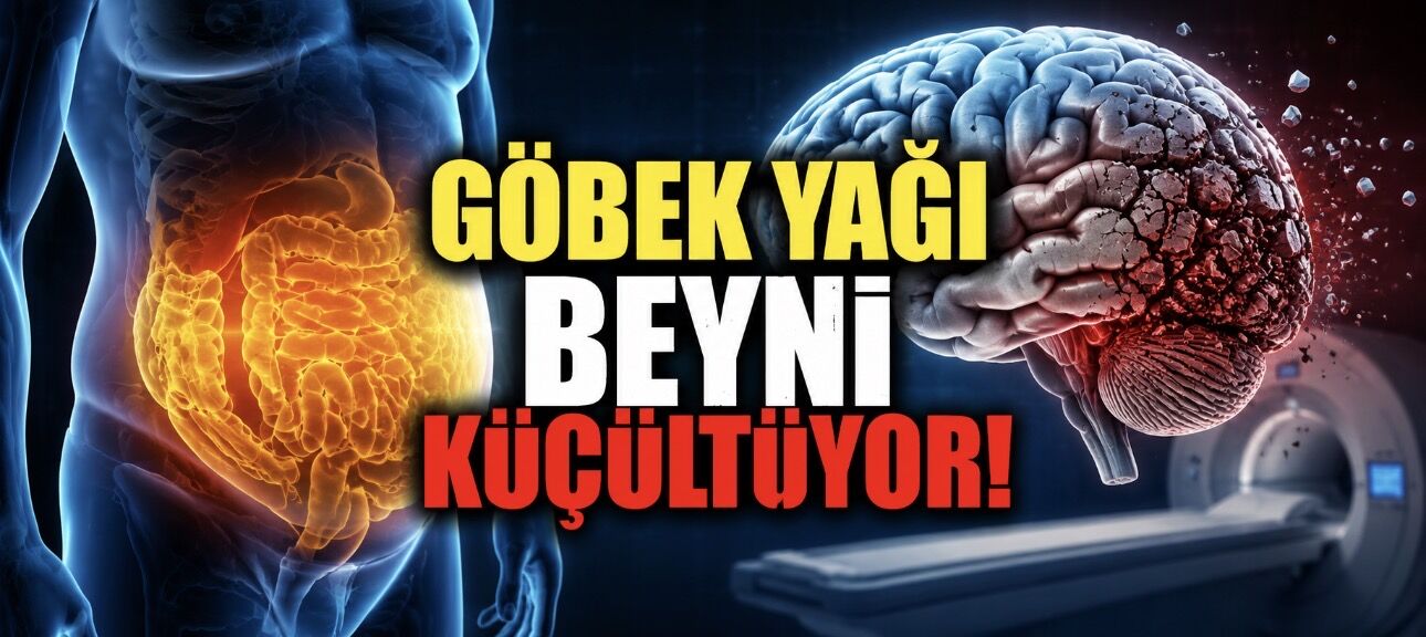 Göbek Yağı Beyni Sessizce Eritiyor Olabilir: 16 Yıllık Araştırmadan Çarpıcı Sonuç