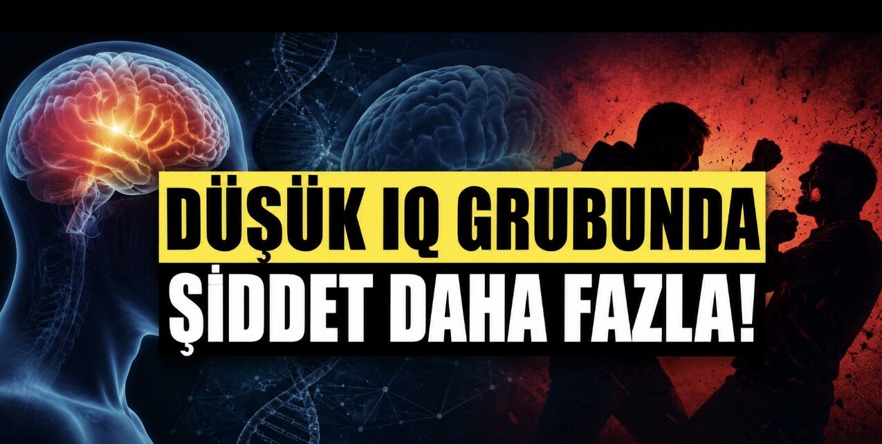 Araştırma: Düşük IQ Grubunda Şiddet Daha Fazla