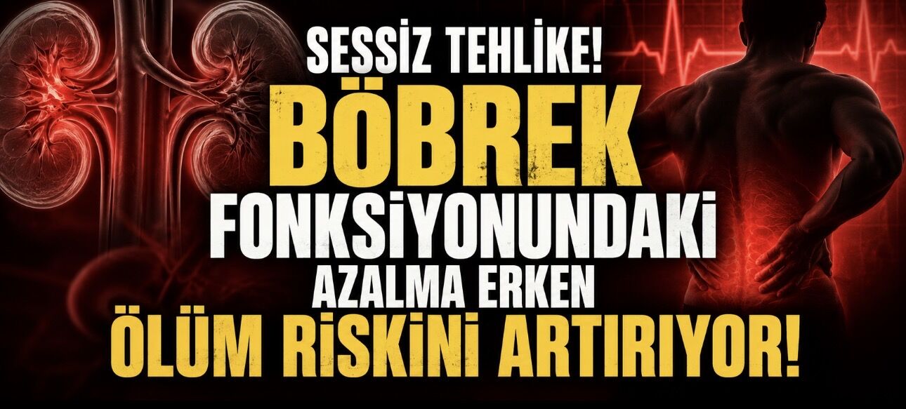 Sessiz Tehlike: Böbrek Fonksiyonundaki Azalma Erken Ölüm Riskini Artırıyor