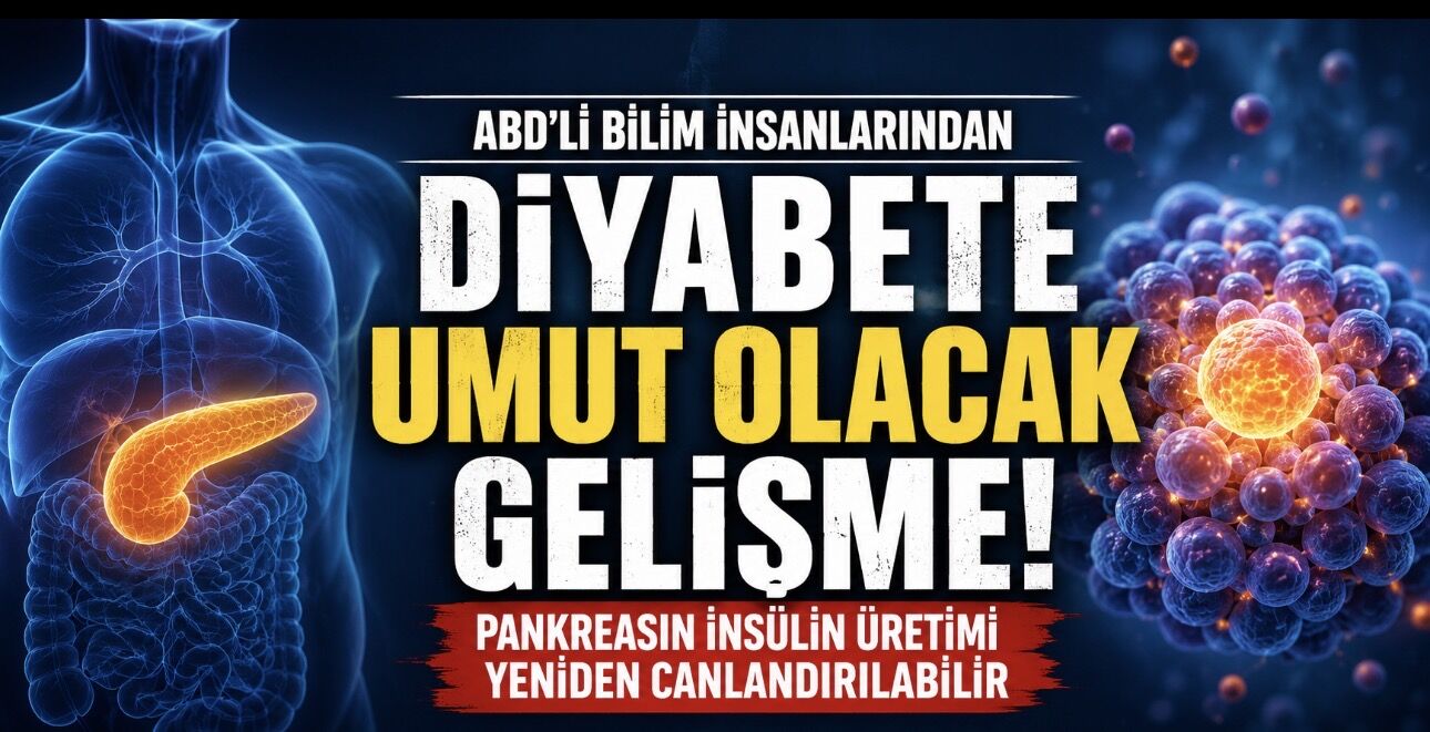 Bilim İnsanları Pankreasın İnsülin Üretimini Yeniden Canlandırabilecek Bir Yöntem Geliştirdi