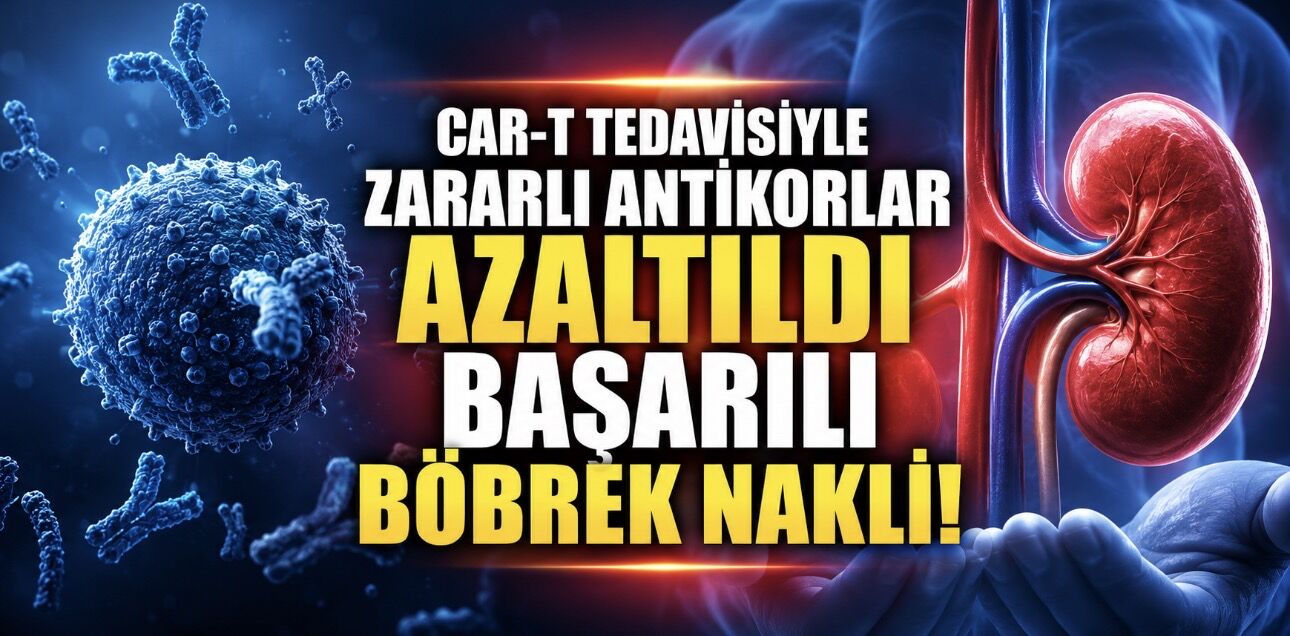 CAR-T Tedavisi Böbrek Naklinde Yeni Bir Kapı Araladı