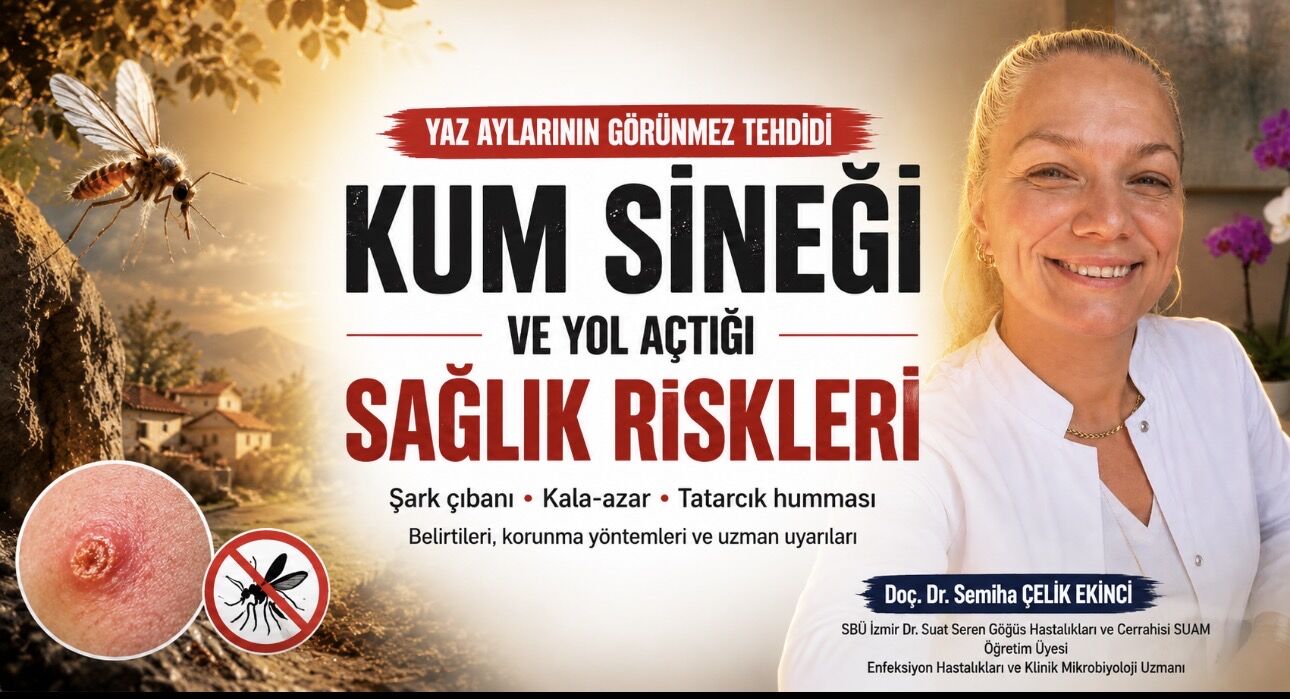 Yaz Aylarının Görünmez Tehdidi: Kum Sineği ve Yol Açtığı Sağlık Riskleri