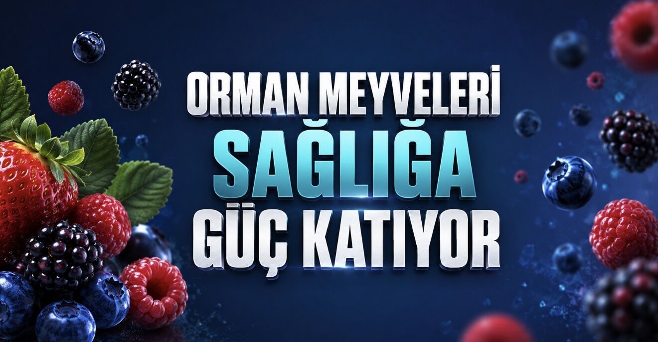 Meyvelerin Küçük Devleri: Böğürtlen, Çilek ve Yaban Mersini Vücuda Ne Sağlıyor?
