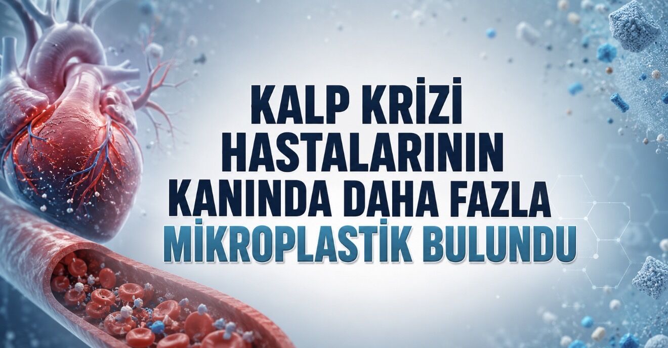 Kalp Krizi Geçiren Hastaların Kanında Mikroplastik Oranı Daha Yüksek Bulundu