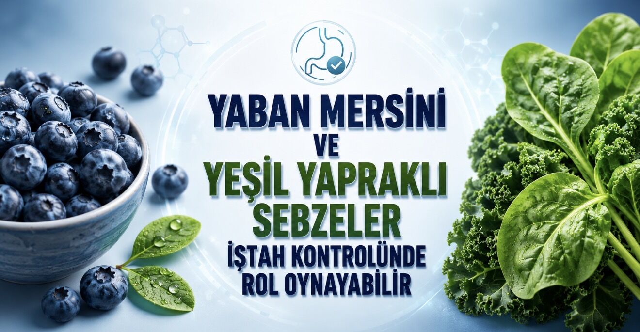Antioksidan Besinler İştah Kontrolünde Rol Oynayabilir