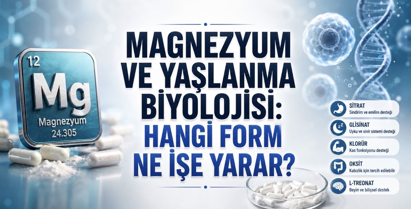 Magnezyum Eksikliği Yaşlanmayı Hızlandırabilir: Hangi Form Ne İşe Yarıyor?