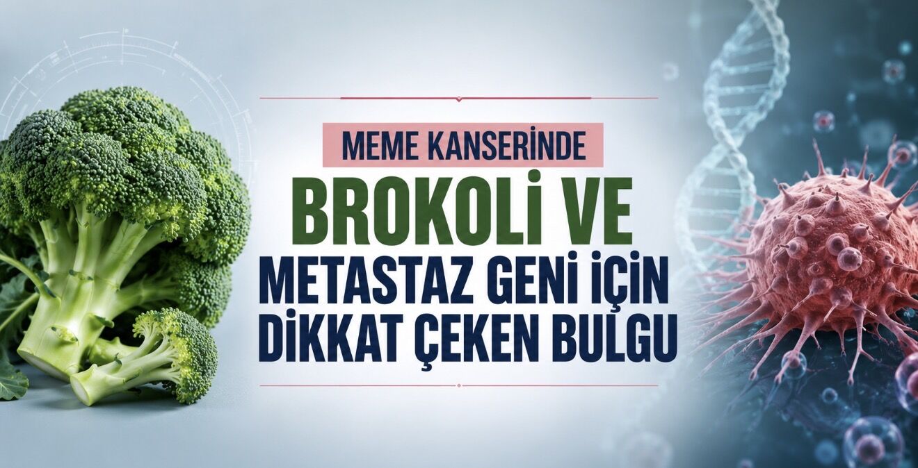 Meme Kanserinde Brokoli ve Metastaz Geni İçin Dikkat Çeken Bulgu