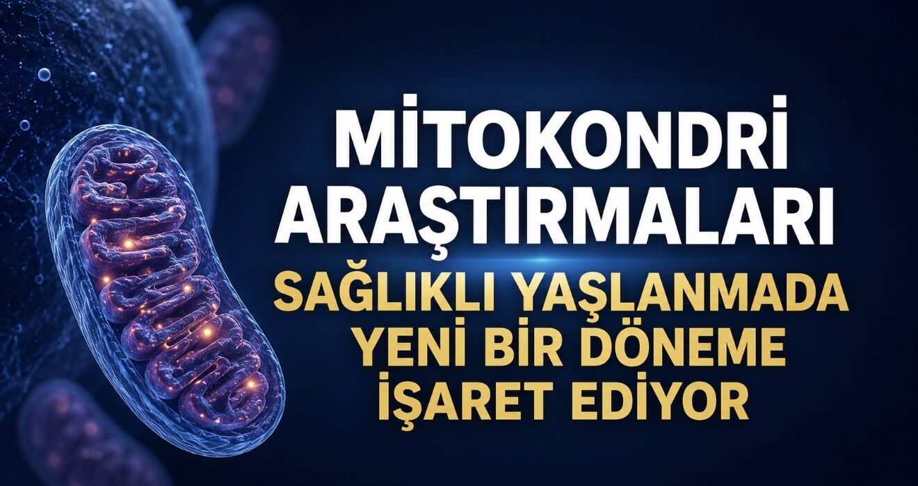 Mitokondri Araştırmaları Sağlıklı Yaşlanmada Yeni Bir Döneme İşaret Ediyor